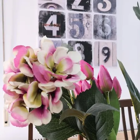 Apartamento Centro Vitoria דירה